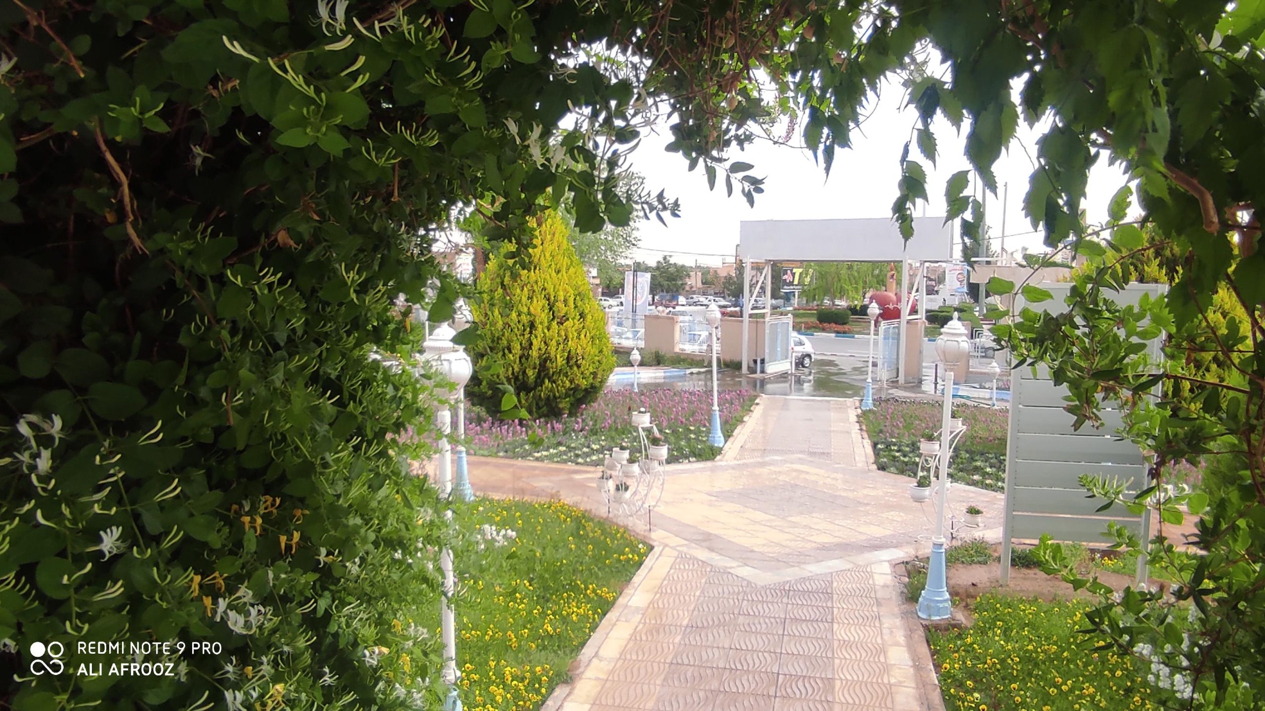 بیمارستان فاطمه الزهرا