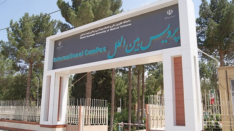 دانشگاه پردیس بین الملل